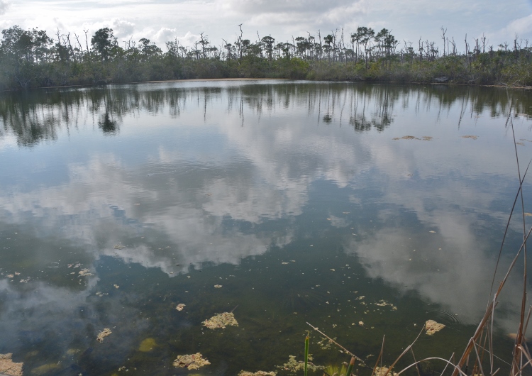 Blue Hole pond